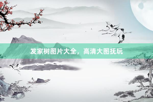 发家树图片大全，高清大图抚玩