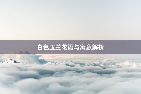 白色玉兰花语与寓意解析