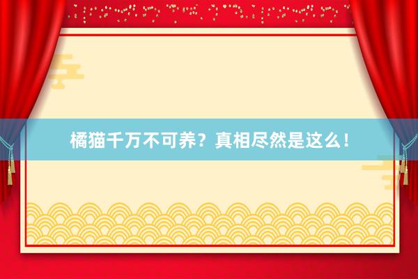 橘猫千万不可养？真相尽然是这么！