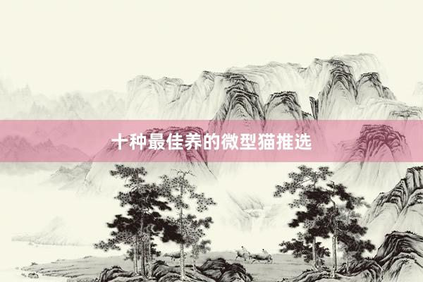十种最佳养的微型猫推选